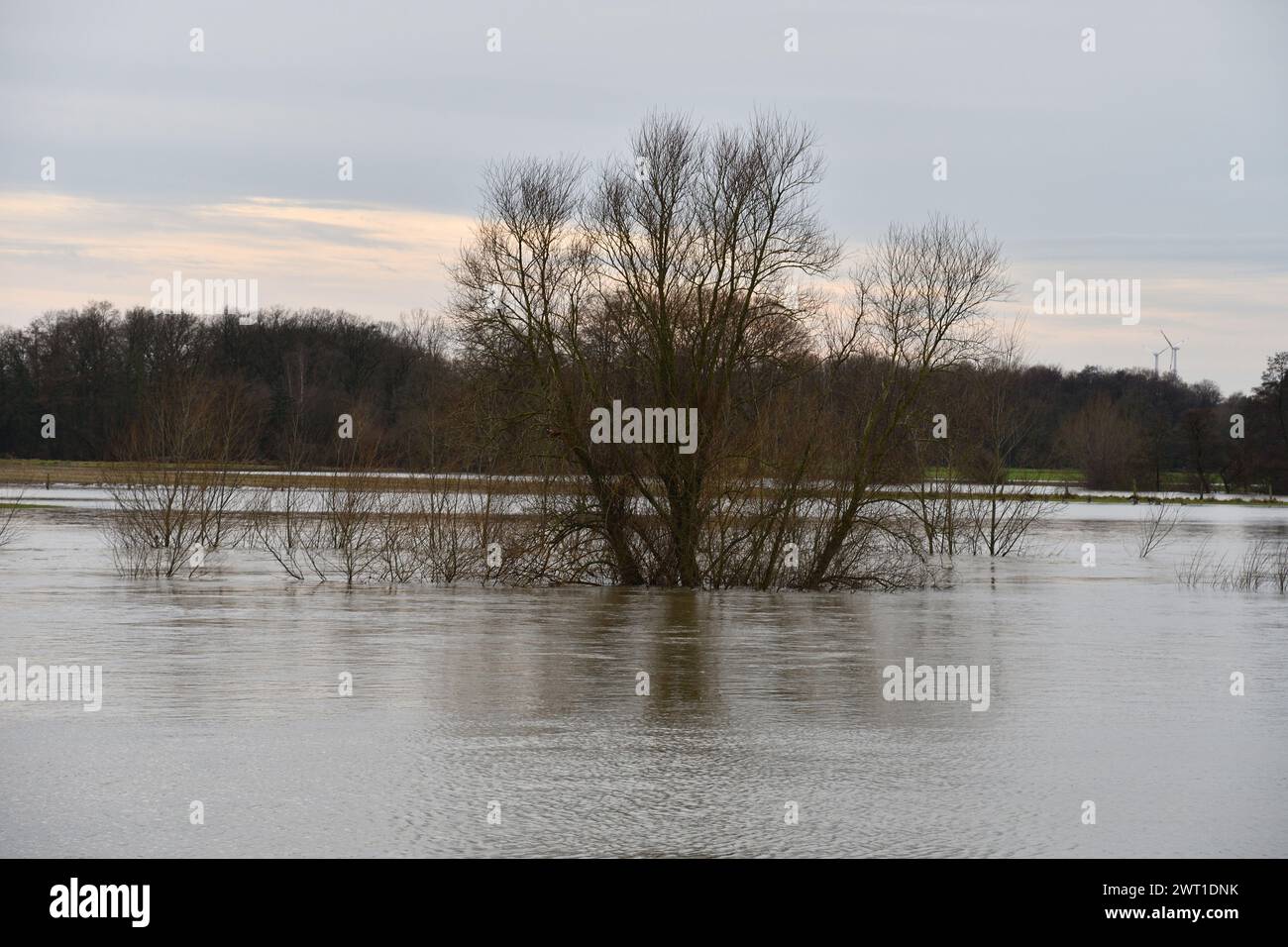 Hochwasser der Lippe im Winter 2023, Deutschland, Nordrhein-Westfalen, Ruhrgebiet, Datteln Stockfoto
