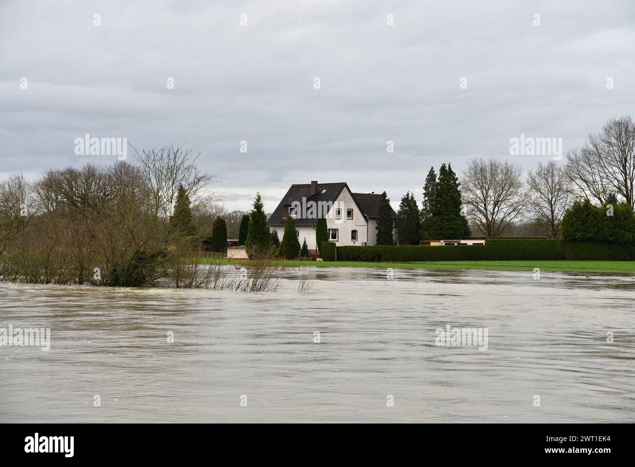 Hochwasser der Lippe gefährlich nahe einem Haus im Winter 2023, Deutschland, Nordrhein-Westfalen, Ruhrgebiet, Datteln Stockfoto