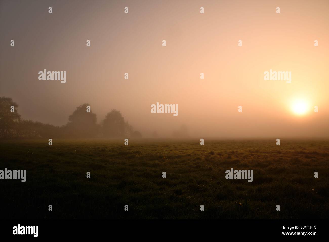 Sonnenaufgang im Nebel Stockfoto