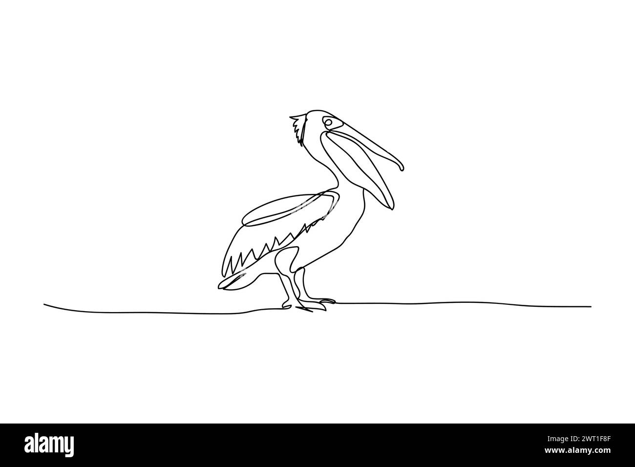 Pelikan Vogel, schwarze Linienzeichnung, eine Linie auf weiß Stock Vektor