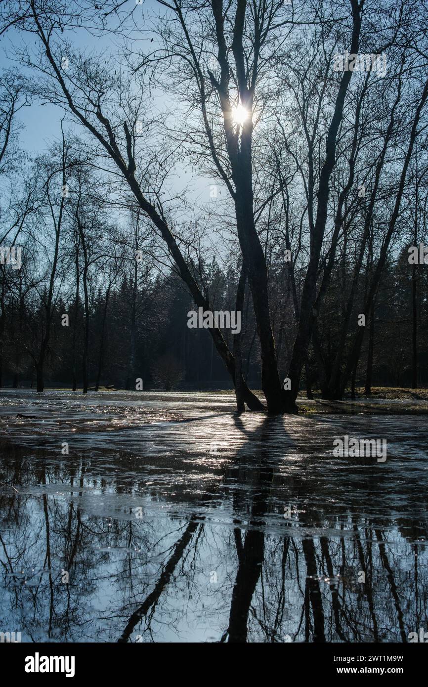 Inmitten der ruhigen Schönheit von Cesis, Lettland, kommt es zu einer Katastrophe, wenn der Fluss Gauja den Campingplatz überschwemmt und die ruhige Landschaft in eine Szene verwandelt Stockfoto