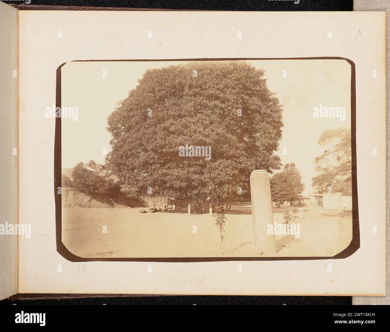 Vista 33. Emilio Herbruger Jr., Fotograf (amerikanisch, 1804 - 1894) 1875 Blick auf einen großen, belaubten Baum an den Ruinen von Mitla. Mehrere Menschen versammeln sich unter dem Schatten des Baumes, und ein paar weitere stehen neben ihm in der Sonne. Im Vordergrund steht eine Steinsäule, umgeben von Setzlingen. (Recto, Mount) unten links, handgeschrieben mit Bleistift: '33' unten in der Mitte, handgeschrieben mit Bleistift: 'NO 26' (Verso, Mount) unten links, handgeschrieben mit Bleistift: 'IB 89,38 (HER)' Stockfoto