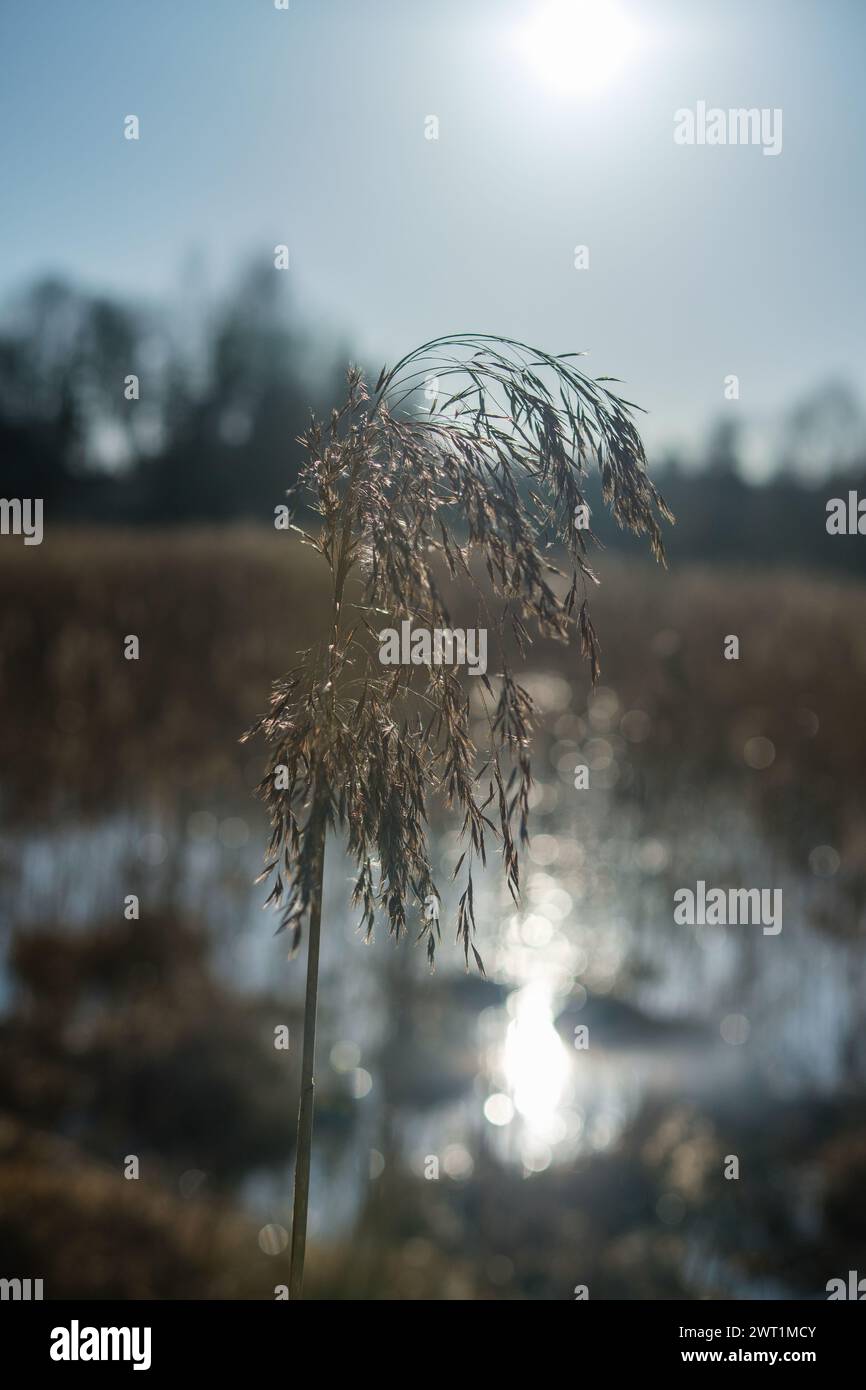 Der See reflektiert die Farben der untergehenden Sonne und wird zu einer Leinwand der Schönheit und Ruhe, ein Anblick, den man im schwindenden Licht der Dämmerung bewundern kann Stockfoto