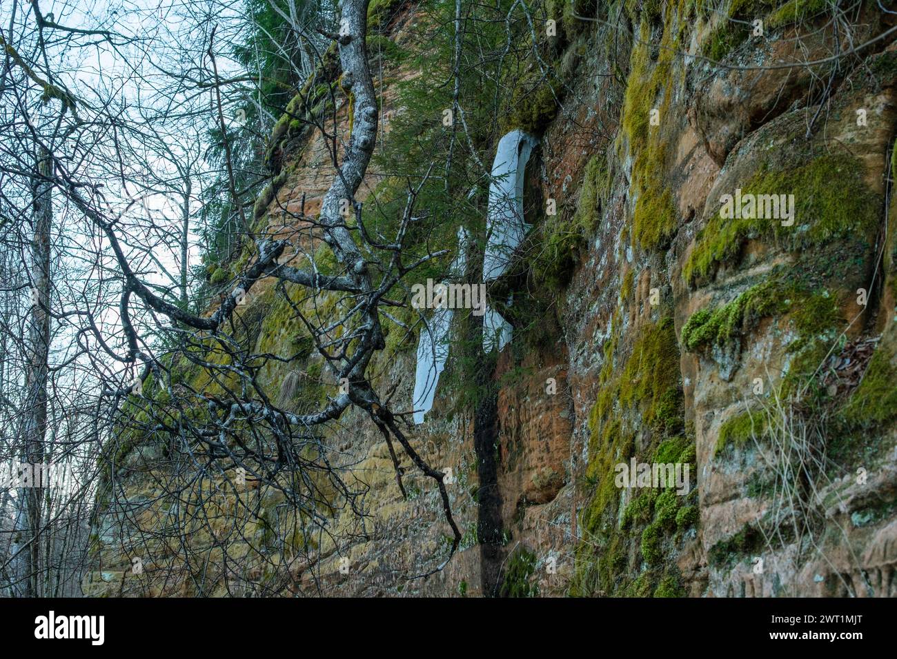 Mit den Jahreszeiten ändert sich auch das Erscheinungsbild der roten Klippen von Cesis, deren Farbtöne von feurigem Rot zu erdbraunem. Stockfoto