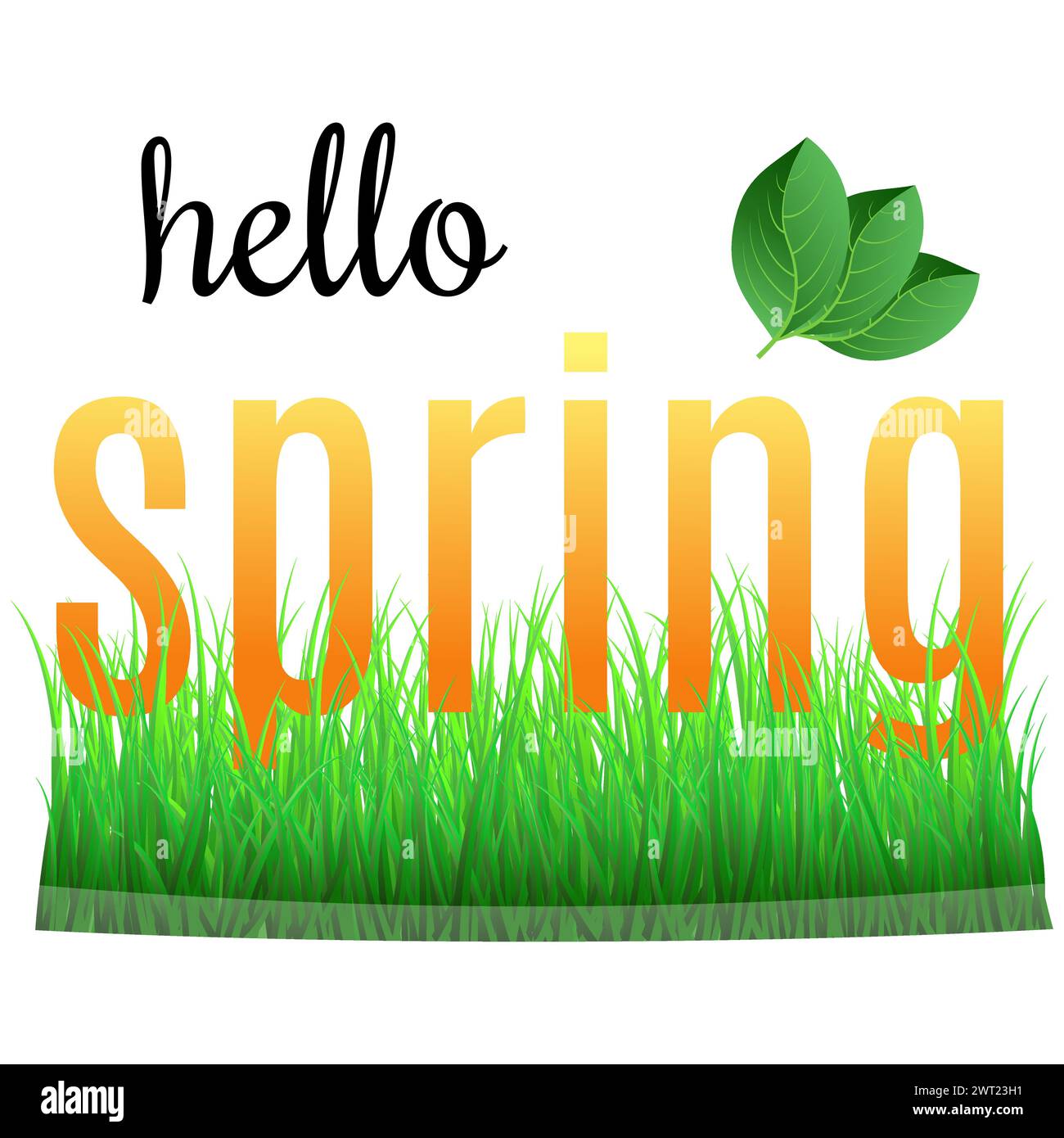 Farbenfroher Satz „Hallo Frühling“ mit grünen Blättern auf dem Gras. Stock Vektor