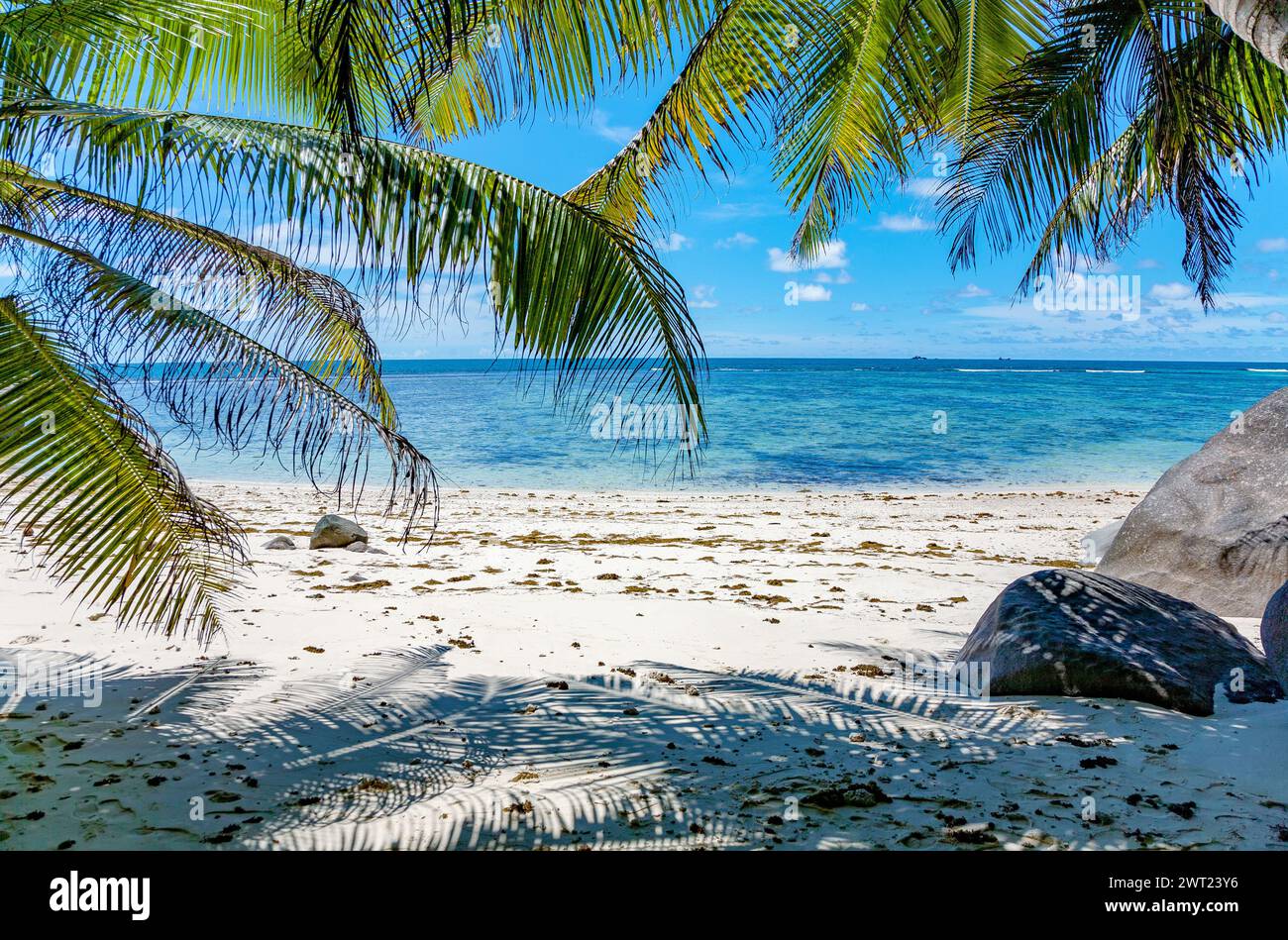 Strand auf der Insel Moyenne. Der Nationalpark Sainte Anne Marine liegt etwa 5 km von Victoria, der Hauptstadt der Seychellen, entfernt und umfasst 8 kleine Stockfoto