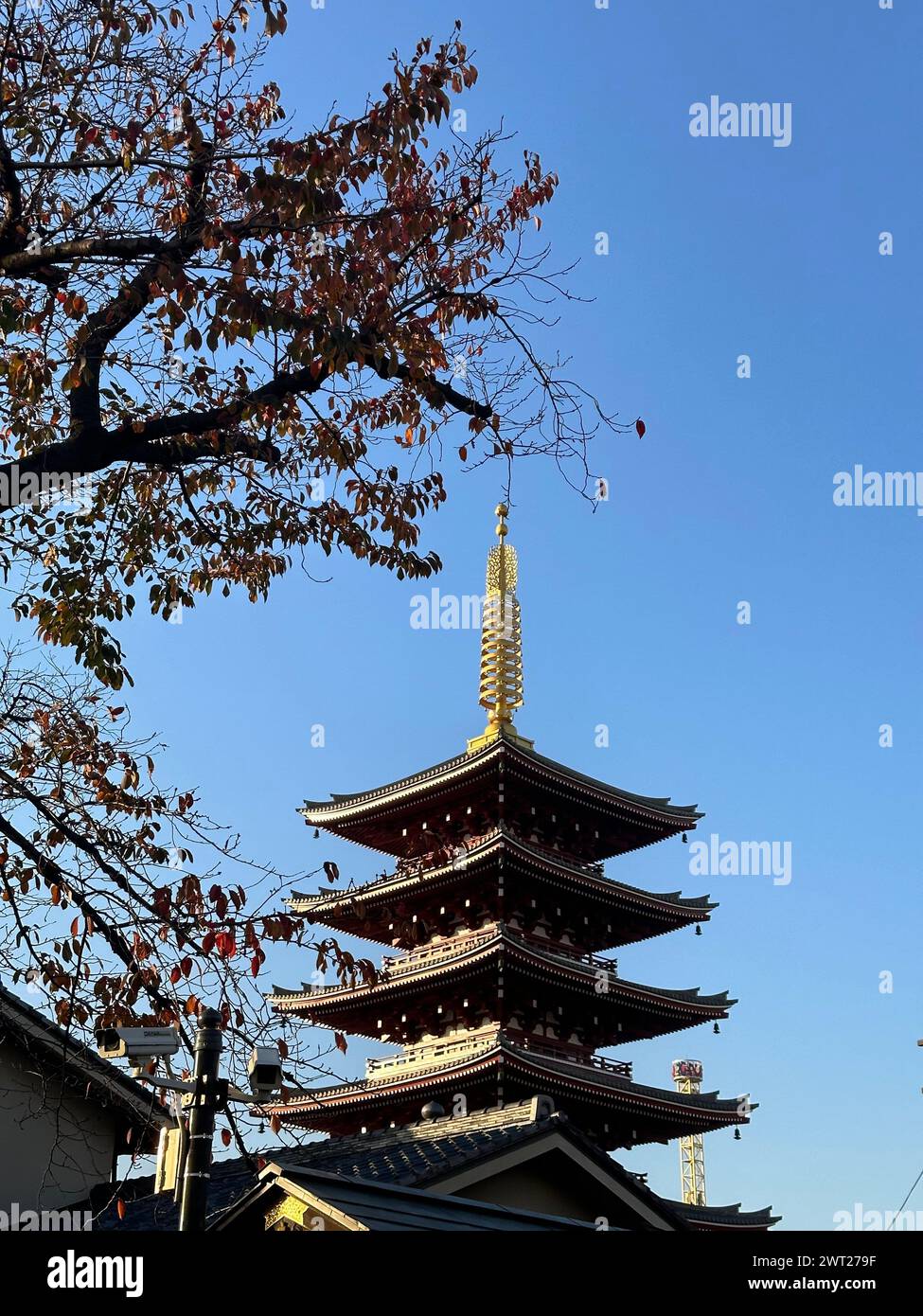 Ein hohes Holzgebäude in einem Park unter klarem blauem Himmel Stockfoto