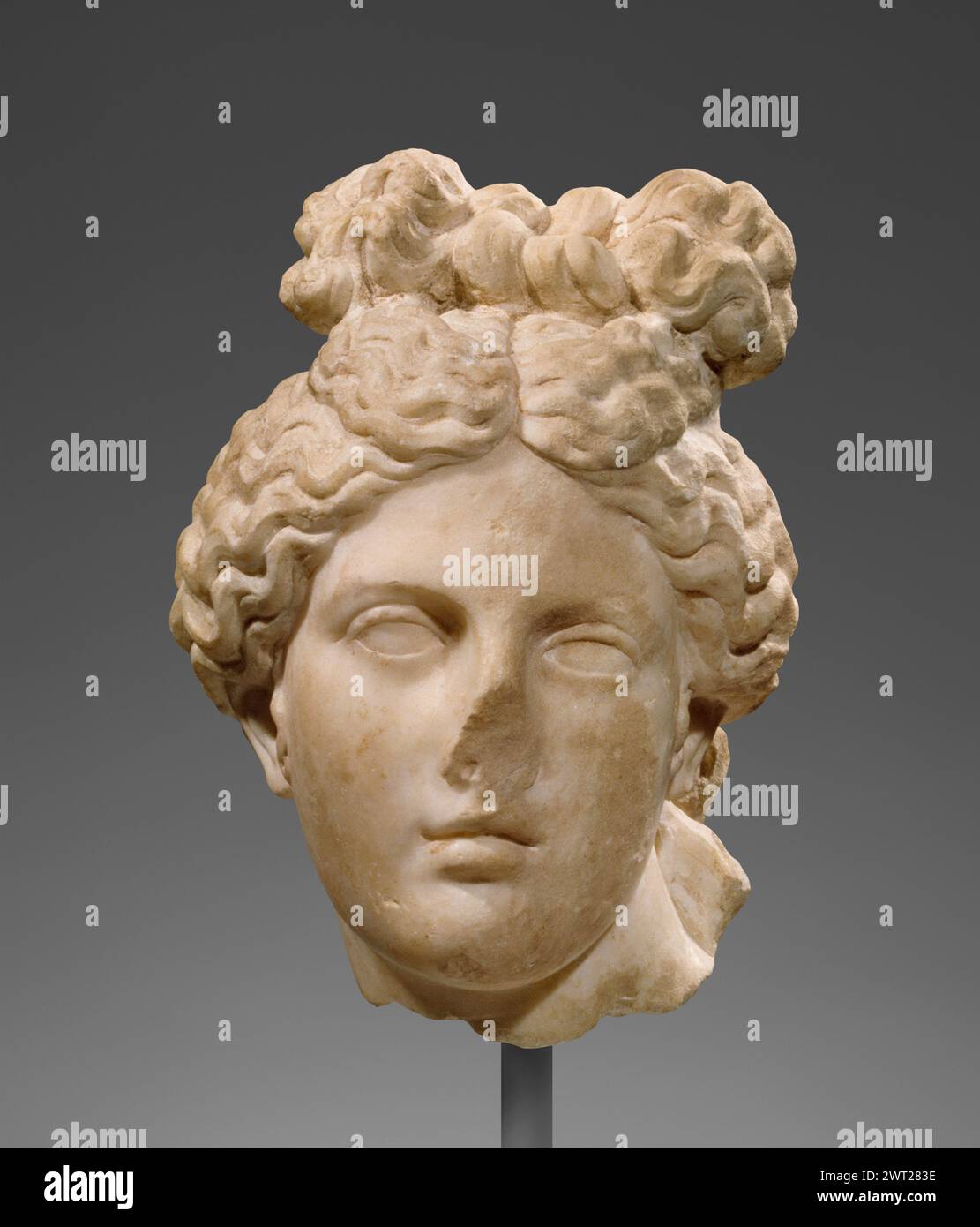 Leiter der Aphrodite (Kapitolinischer Typ). Unbekanntes 1. Jahrhundert v. Chr. ein überlebensgroßer Kopf des Kapitolinischen Typs Aphrodite. Der Kopf wird am Hals abgebrochen und leicht nach links gedreht. Das Gesicht ist oval und weist nur wenig auf die Knochenstruktur des Gesichts hin. Die Nase fehlt meist und die polierte Oberfläche wurde auf der linken Seite des Gesichts entfernt. Das Haar wird in dicken, welligen Strähnen gerendert. Er wird in der Mitte geteilt und zu einem Knoten hinten am Kopf zurückgezogen. Die vordersten Haarsträhnen sind zusammengefaltet und zu einer Schleife gebunden, die auf dem Kopf aufliegt. Zwei Locken Stockfoto