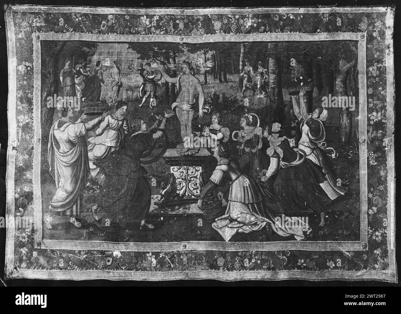 Angebote für Venus. Unbekannt ca. 1550 Gobelin Abmessungen: H 408 x B 591 cm Gobelin Materialien/Techniken: Wolle & Seide Kultur: Flämisches Weberzentrum: Brüssel Besitzgeschichte: Spanien, Madrid, Palacio Real de Madrid, Accno. A. 243-6749. Inschriften: Unidentifizierte Webermarke Verwandte Werke: Tafeln im Set: GCPA 0236964-0236969 Stockfoto