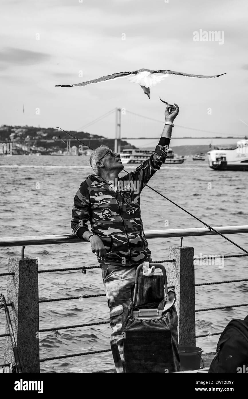 Ein freundlicher türkischer Fischer gibt ihn, nachdem er einen Fisch gefangen hat, einer fliegenden Möwe Stockfoto