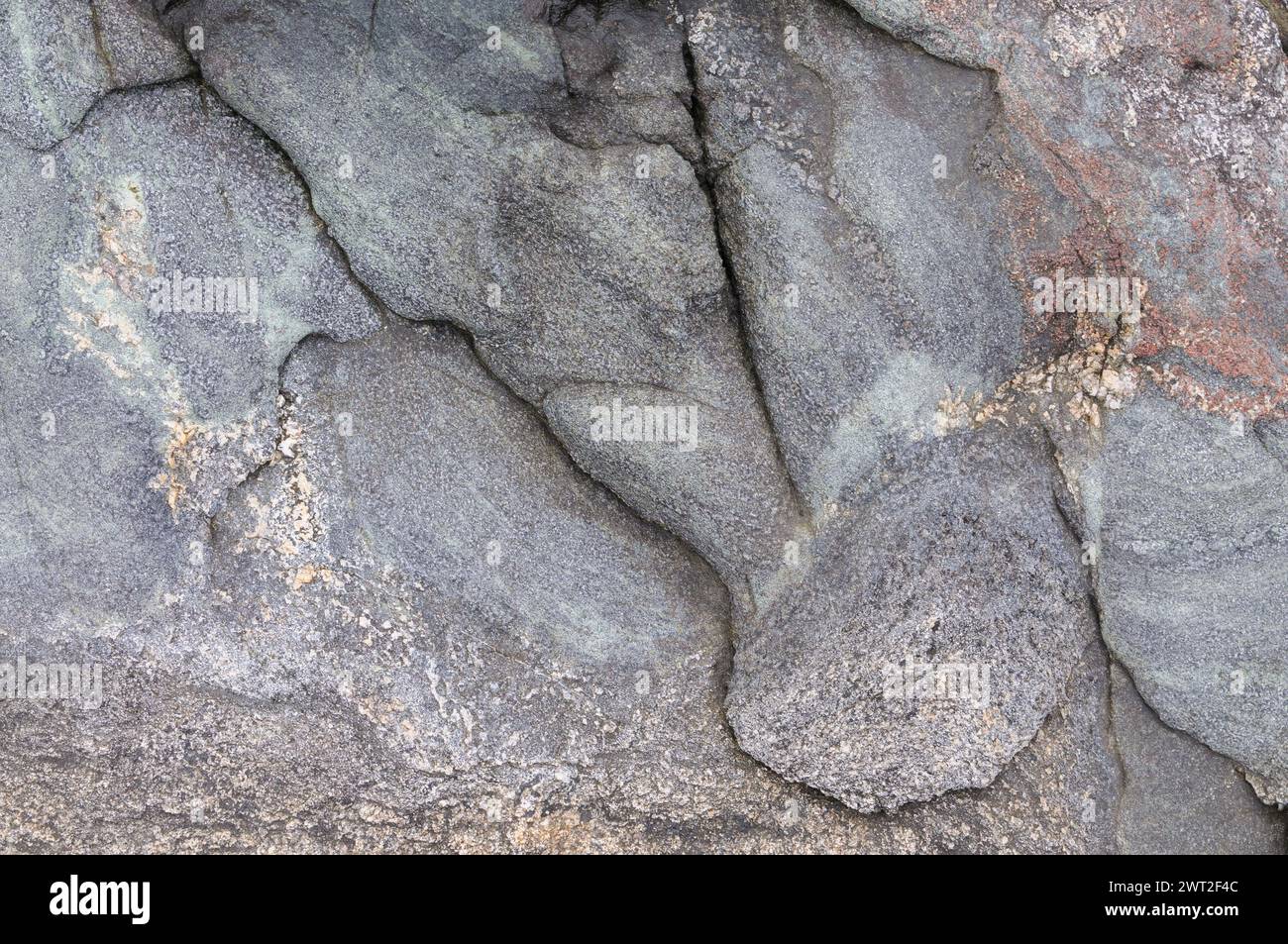 Eine detaillierte Ansicht einer verwitterten Felsoberfläche mit natürlichen Mustern und Texturen. Stockfoto