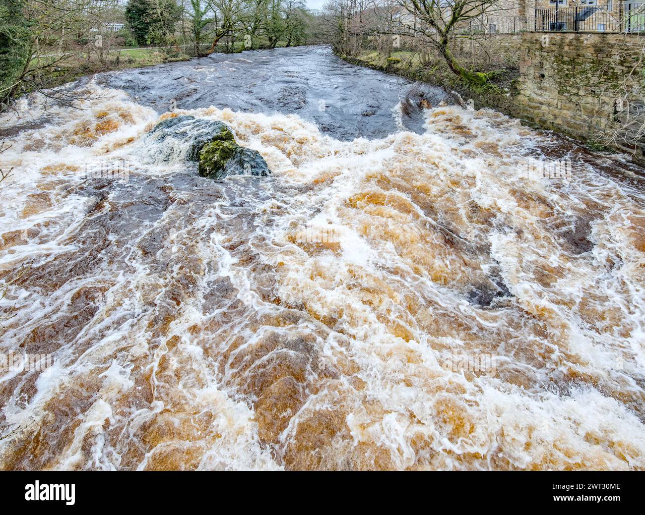 Ein donnerndes Rauschen des Wassers am Queens Rock am River Ribble, Kingsmill, Siedlung North Yorkshire Stockfoto