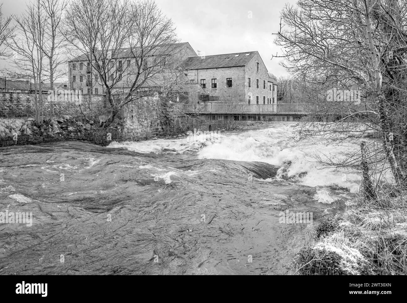 Ein donnerndes Rauschen des Wassers am Queens Rock am River Ribble, Kingsmill, Siedlung North Yorkshire. Umgebaute Mühle, jetzt Wohnungen und Brückenüberquerung. Stockfoto