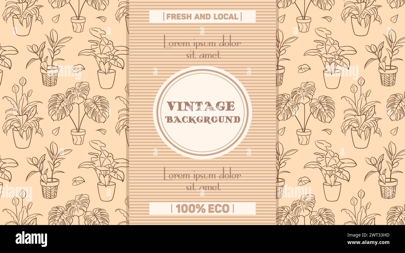 Umweltfreundliche Verpackungen, Produkte für den Blumenzucht. Ficus, Syngonium, Monstera. Exotische Topfpflanze, Zimmerpflanzen, Hobby. Botanische Umrisse, handgezeichnete s Stock Vektor