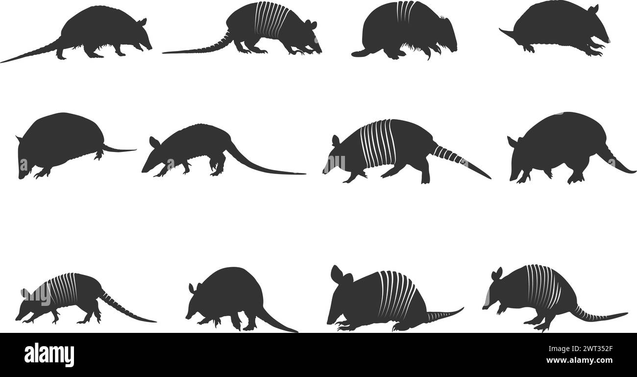 Armadillo Silhouette, Texas Gürteltier Silhouette, Stammes Gürteltier Silhouette, Armadillo Vektor Illustration. Stock Vektor