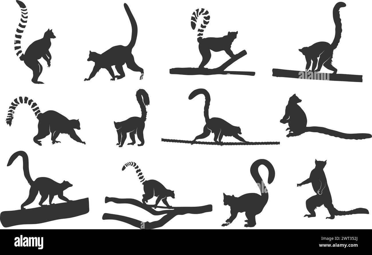 Lemur Silhouette, Ring-tailed Lemur Silhouette, Lemur Silhouette, Lemur Vektor Set Stock Vektor