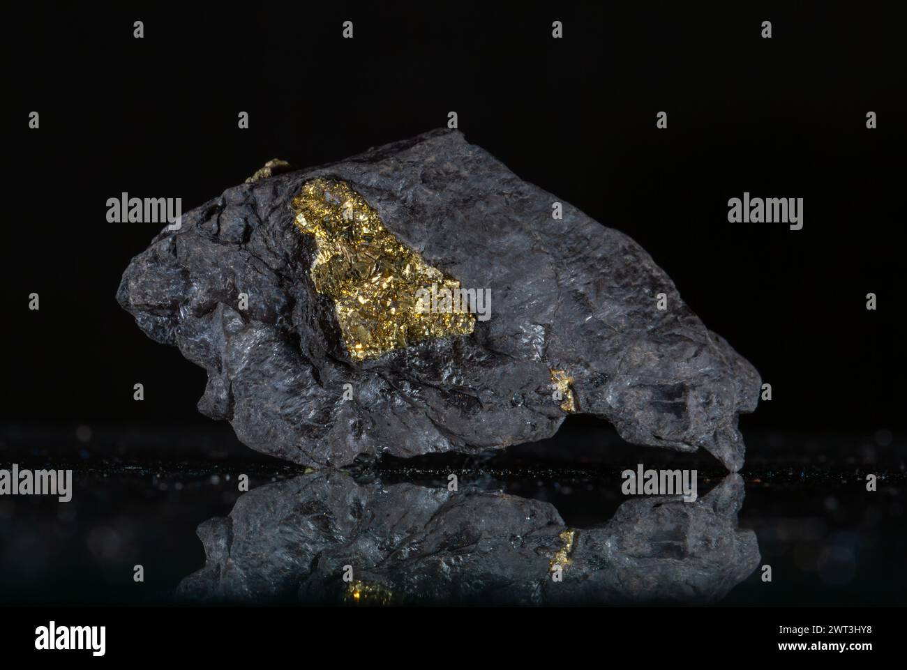 Ein Stück Goldnugget auf schwarzem Hintergrund mit Reflexion. Stockfoto