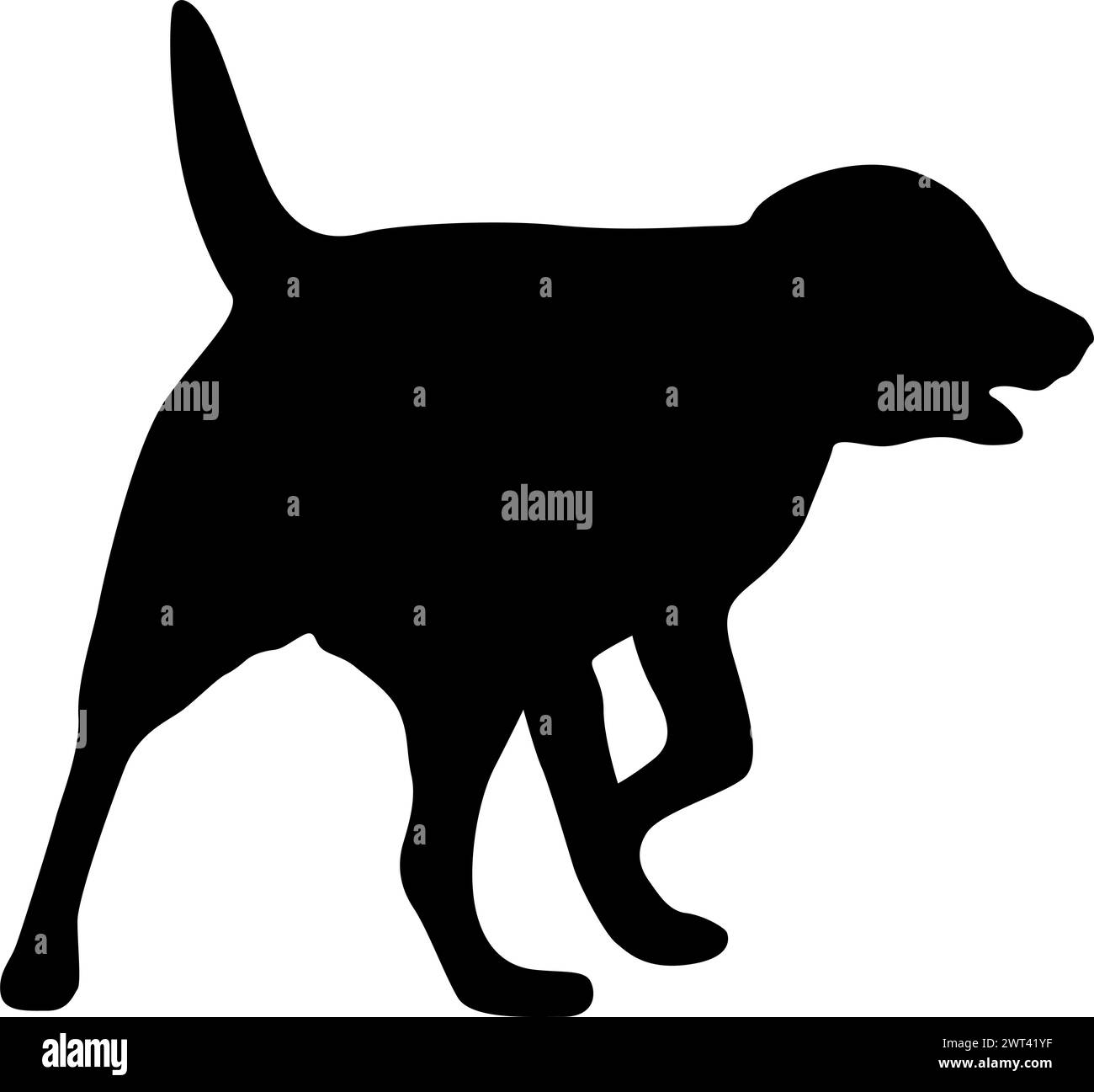 Schwarze Silhouette von Hunden auf weißem Hintergrund. Stock Vektor