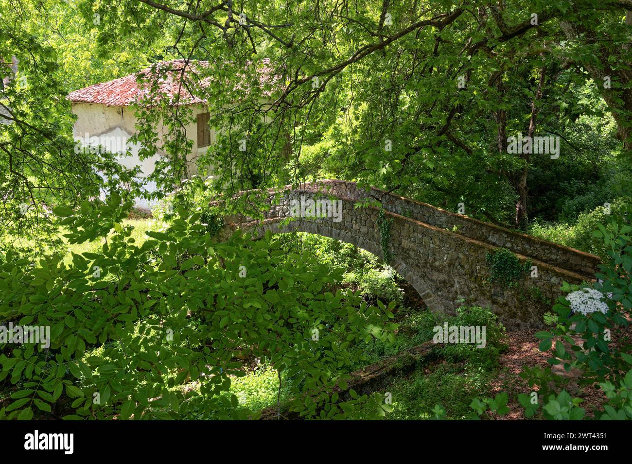 Blick auf eine traditionelle Steinbrücke im Dorf Ano Karyofyto in Thrakien, Griechenland Stockfoto