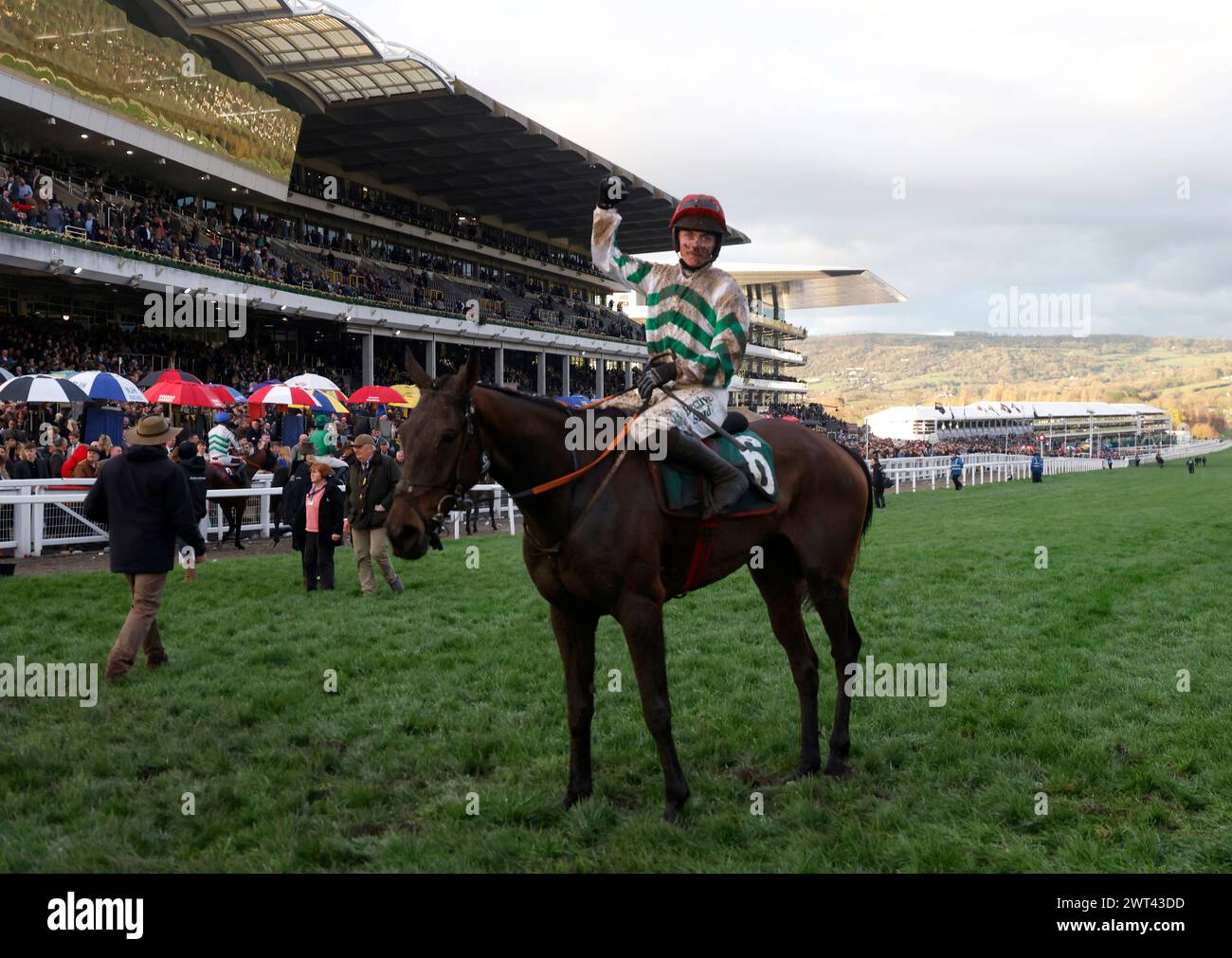 Danny Gilligan ist an Bord von Better Days Ahead, nachdem er die Martin Pipe Conditional Jockeys' Handicap Hürde am vierten Tag des Cheltenham Festivals 2024 auf der Cheltenham Racecourse gewonnen hat. Bilddatum: Freitag, 15. März 2024. Stockfoto