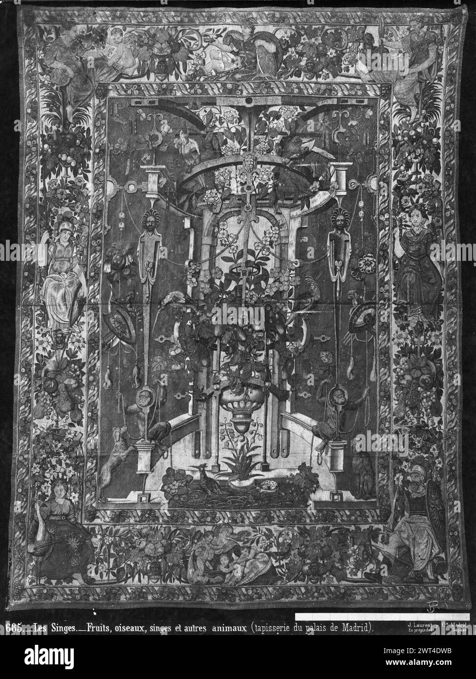 Zwei Affen, die mit Seilen spielen. Vredeman de Vries, Hans (Niederländisch (vor 1600) - Nordholland, 1527-ca. 1604) (Cartoon-Schöpfer, attr.) [Maler] ca. 1550-1560 Gobelin Abmessungen: H 345 x B 270 cm Gobelin Materialien/Techniken: Wolle und Seide; Metallfäden (Gold); Metallfäden (Silber) Kultur: Flämisches Weberzentrum: Brüsseler Besitz Geschichte: Inventar von Carlos II (1701-1703). Bestandsaufnahme von Carlos III (1788). Bestandsaufnahme von Fernando VII (1834). Spanien, Segovia, Segovia, Palacio de San Ildefonso, accno. A. 359-12101. Sitzen auf der mittleren Laube, zwei Affen spielen mit Seilen neben zwei Stockfoto