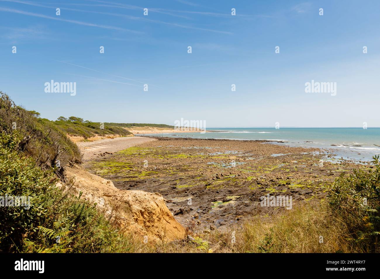 Blick auf den Strand von La Mine in Jard sur Mer, Frankreich an einem Sommertag, Vendée, Frankreich Stockfoto