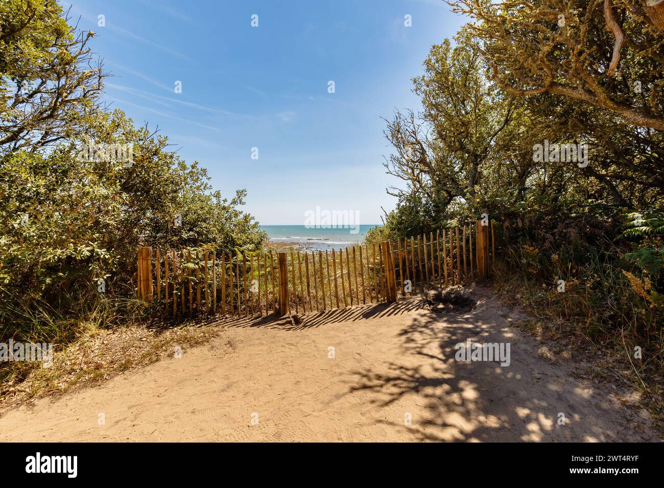 Blick auf den Strand von La Mine in Jard sur Mer, Frankreich an einem Sommertag, Vendée, Frankreich Stockfoto