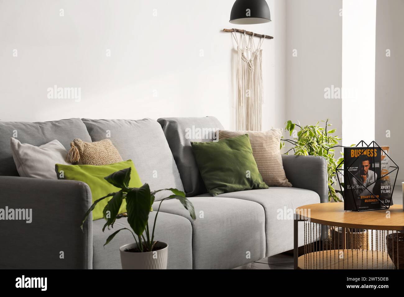 Modernes Interieur im trendigen Wohnzimmer mit komfortablem Sofa, Tisch und Zimmerpflanzen Stockfoto