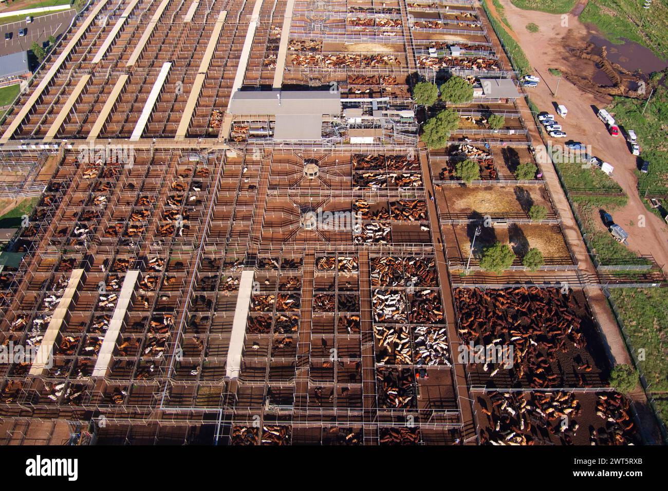 Aus der Vogelperspektive der Roma Saleyards Australiens größtes Viehverkaufszentrum mit über 400.000 Rindern im Jahr. Roma Queensland Australien Stockfoto