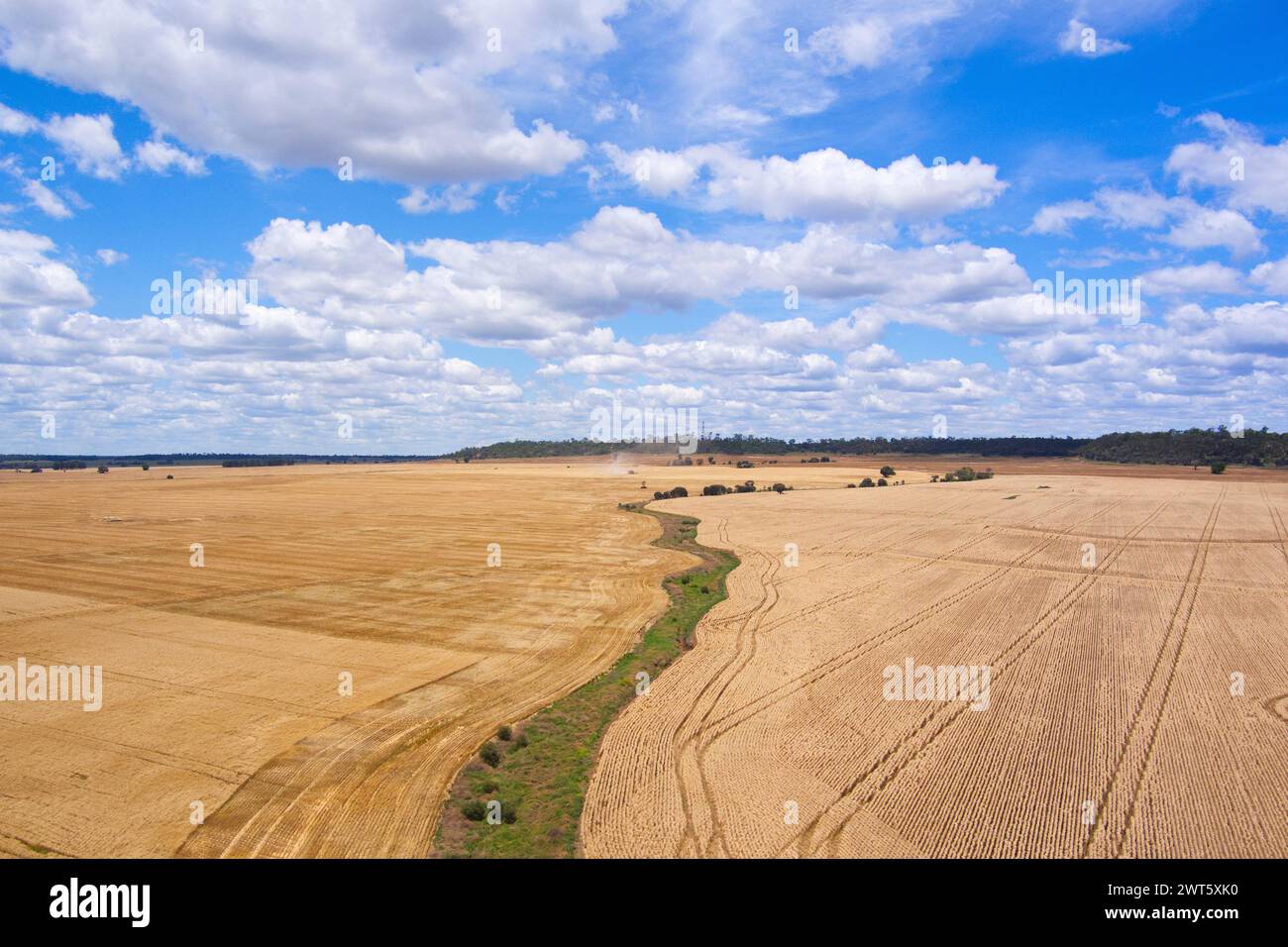 Weizenfelder und Entwässerungskanal in der Nähe von Wallumbilla auf der Maranoa Queensland Australia Stockfoto