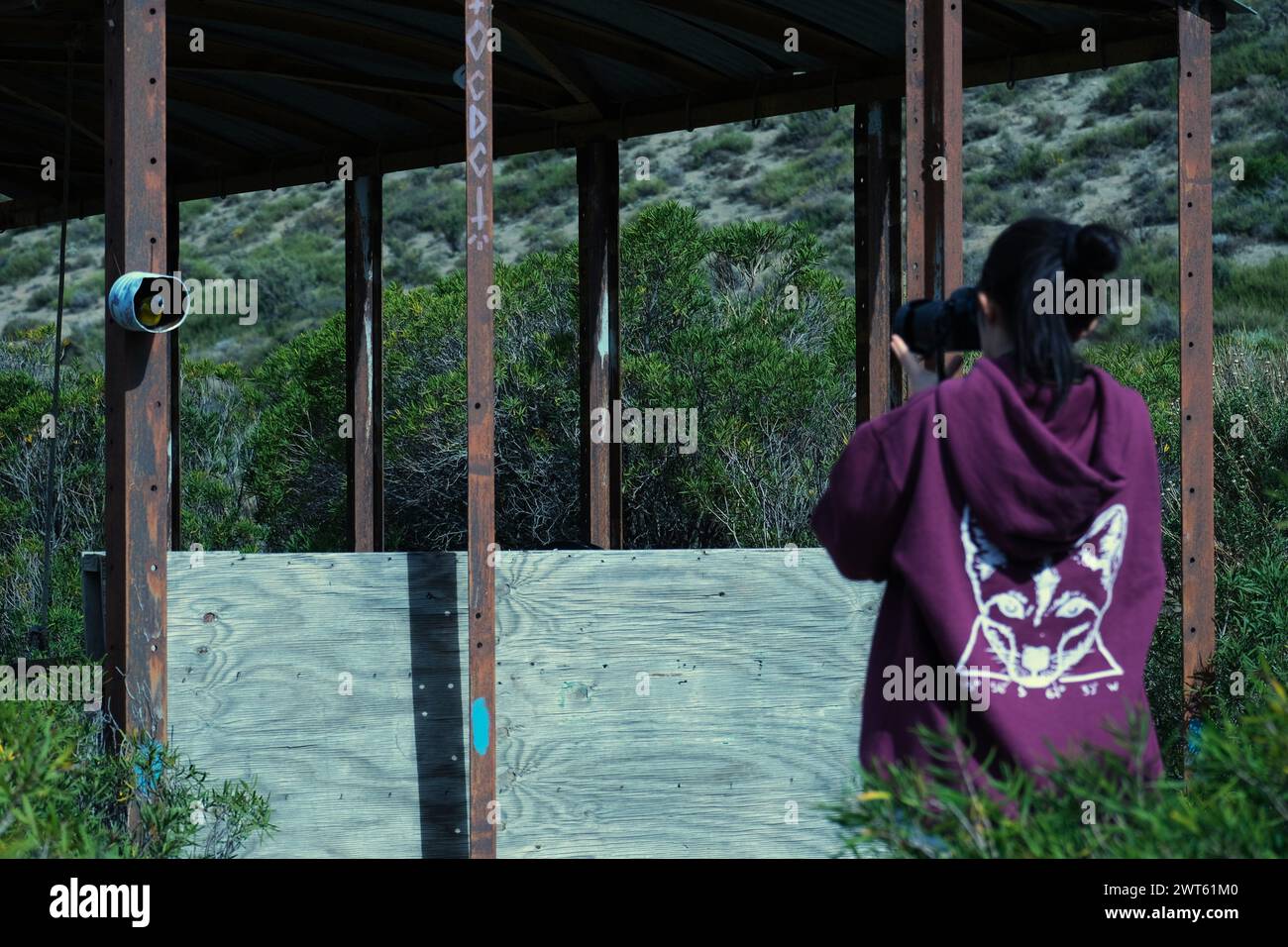 Eine Fotografin, die ein Foto von einem Vogel in einem Nest aus einer Dose macht Stockfoto