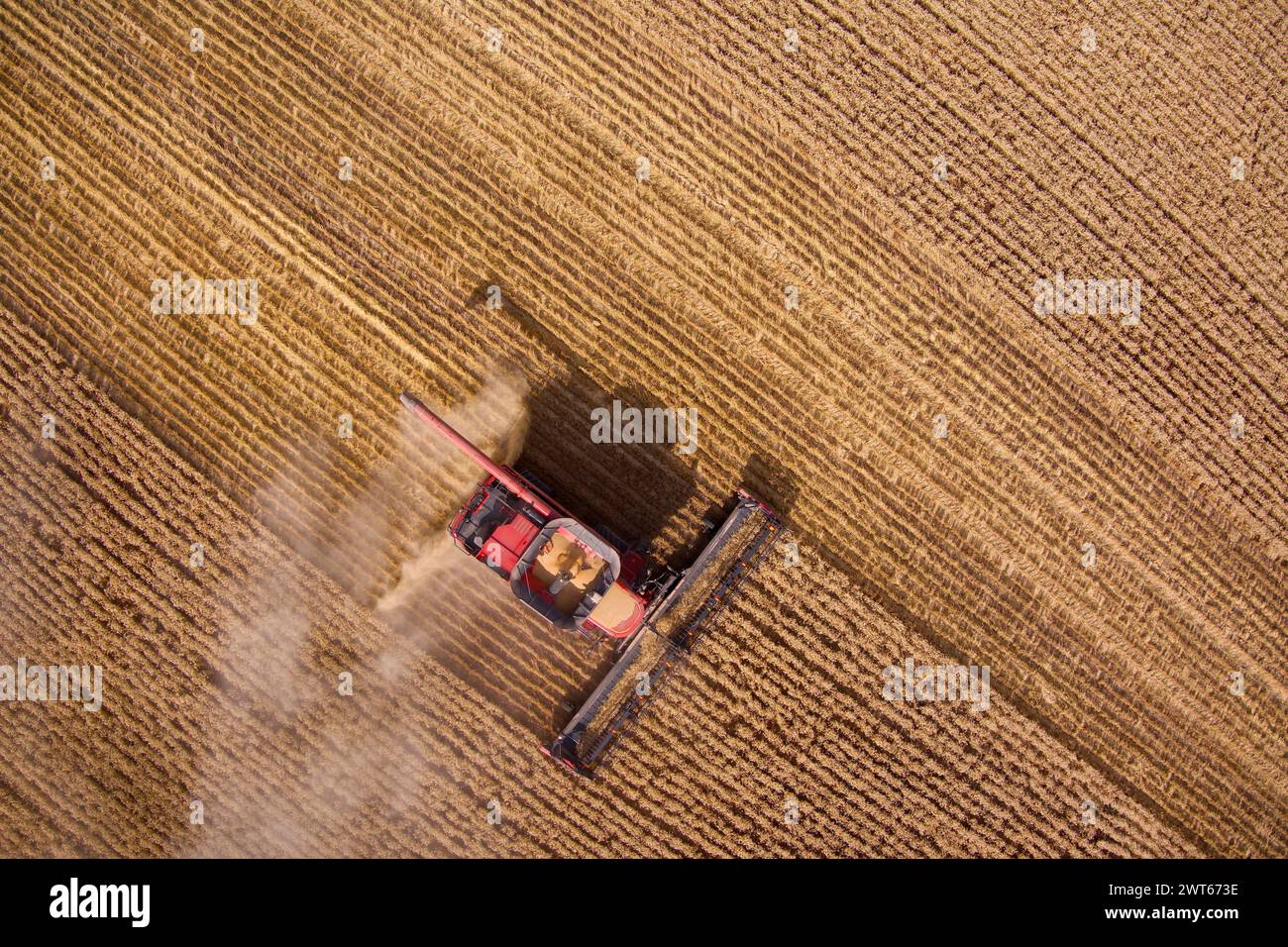 Luftlinie des Mähdreschers Weizenernte in der Nähe von Wallumbilla auf der Maranoa Queensland Australien Stockfoto