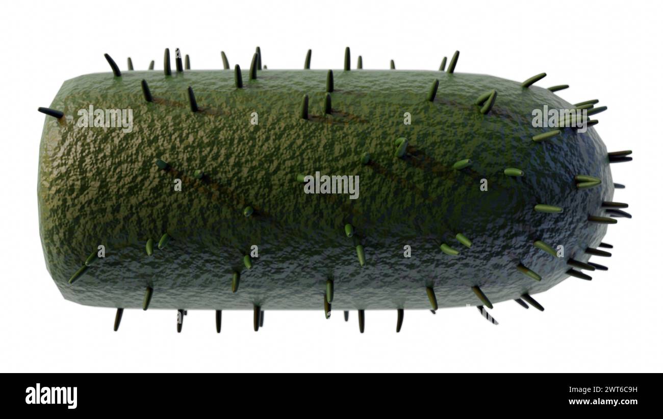 3D-Animation des Lyssavirus verursacht tödliche akute virale Enzephalomyelitis, bekannt als Tollwut. Stockfoto