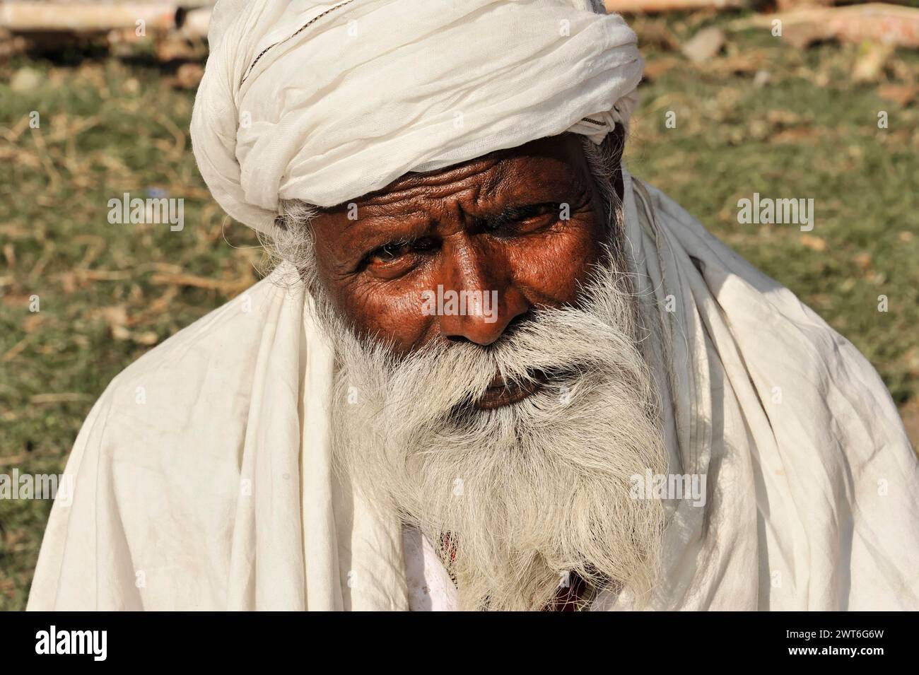 Porträt eines älteren Mannes mit weißem Bart und Turban, Kathmandu Valley. Kathmandu, Nepal Stockfoto