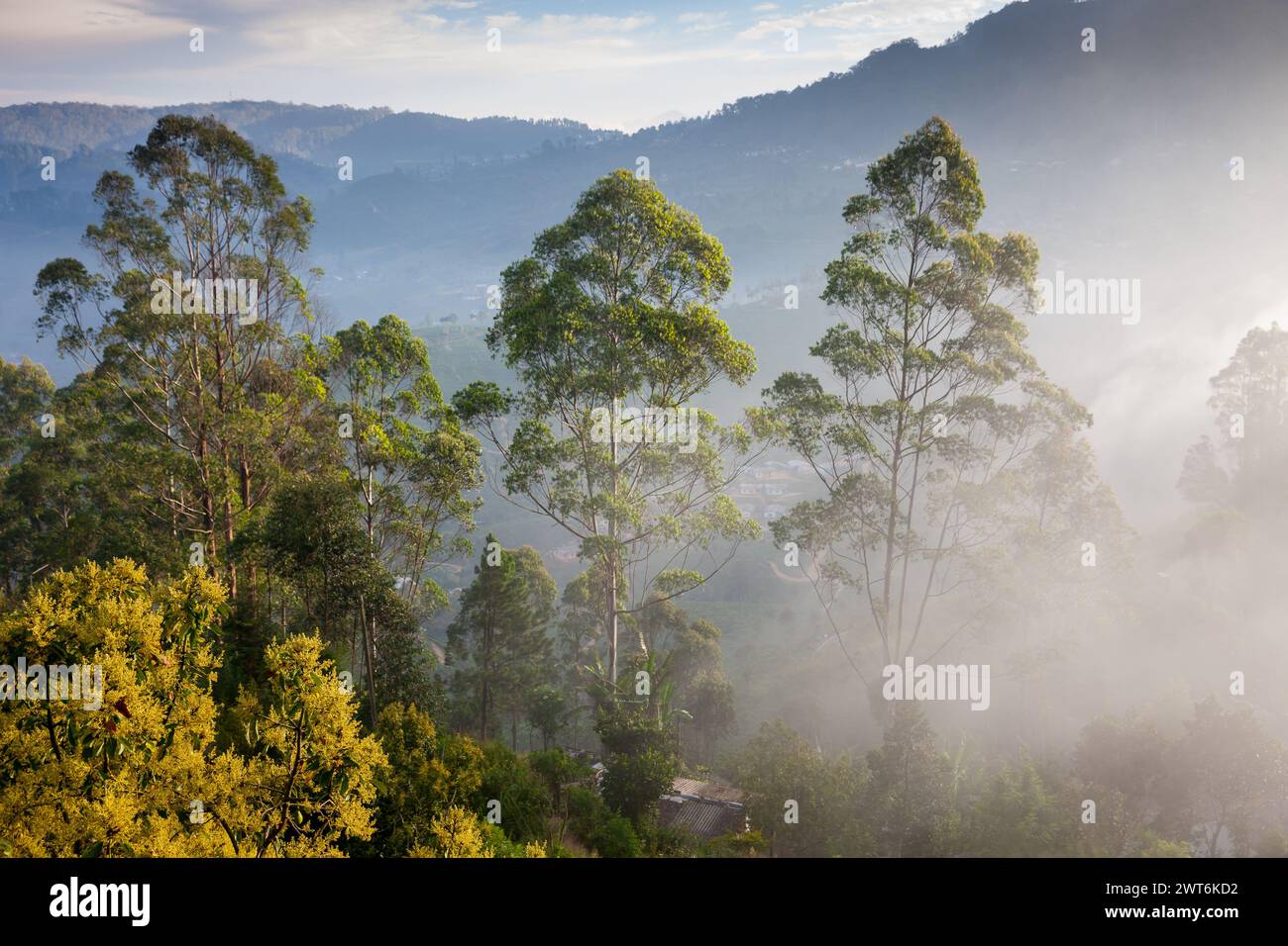 Sri Lanka, Haputale, Blick auf Nebel früh am Morgen Stockfoto