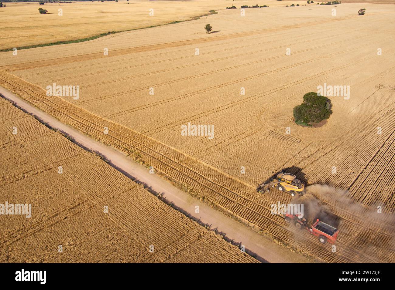 Luftlinie des Mähdreschers Weizenernte in der Nähe von Wallumbilla auf der Maranoa Queensland Australien Stockfoto