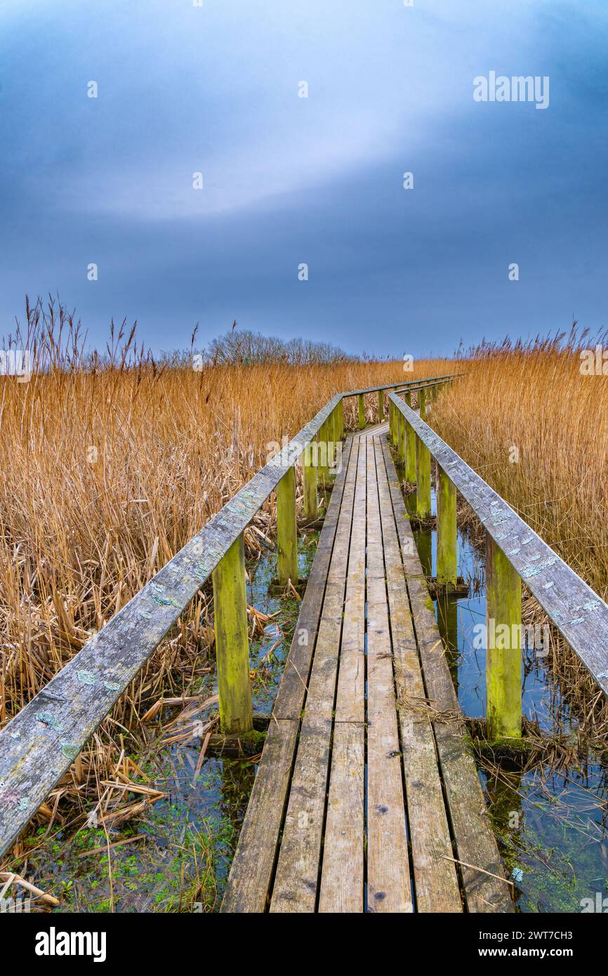 Natur 2000 Vogelreservat Han Vejle in Thy., Dänemark Stockfoto