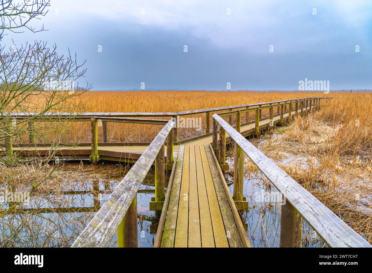 Natur 2000 Vogelreservat Han Vejle in Thy., Dänemark Stockfoto