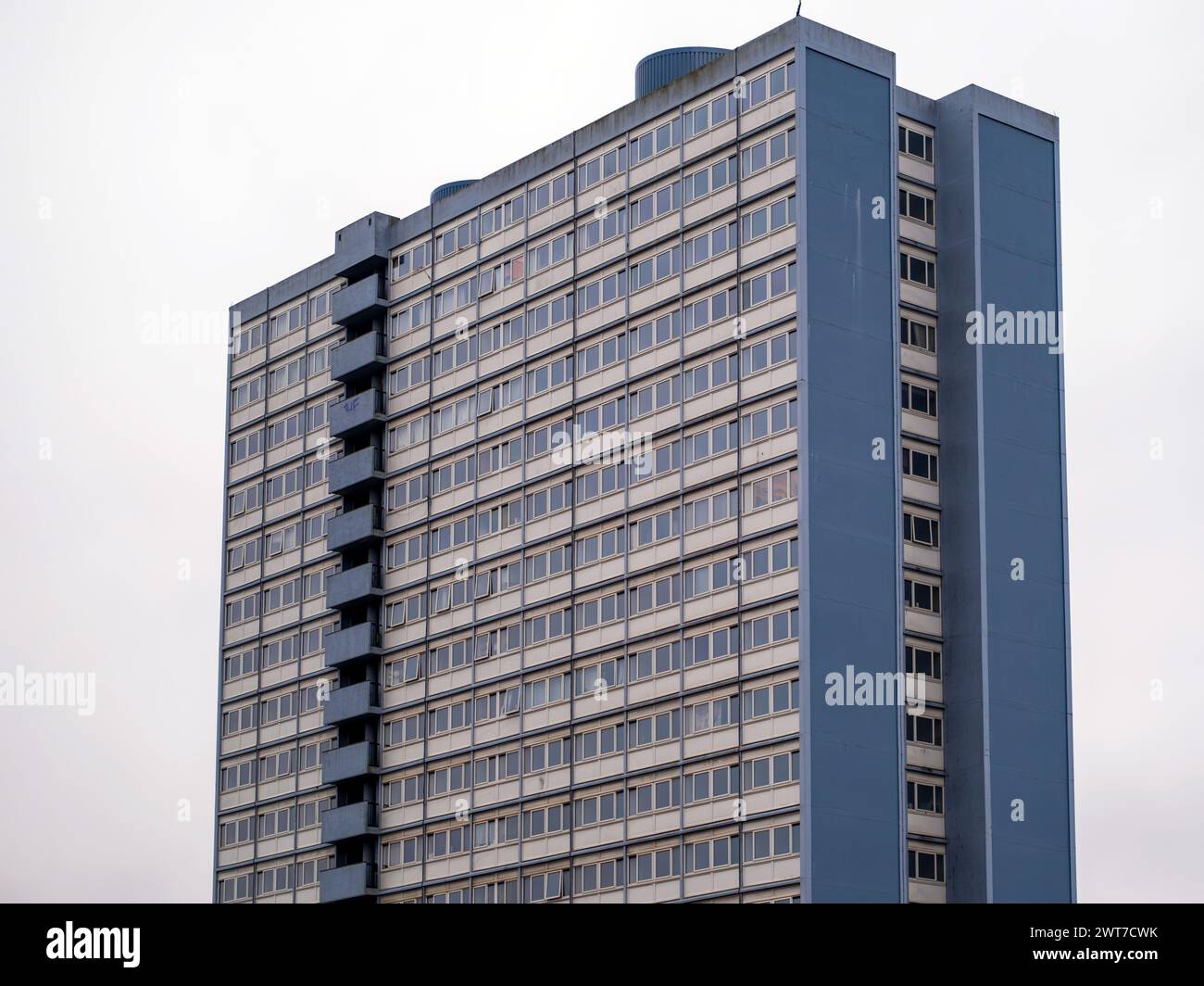 Die obersten Stockwerke des Hochhaus-Turmblocks aus den 1960er Jahren in Gateshead, England, Großbritannien. Das Gericht Redheugh ist derzeit für den Abriss durch den rat vorgesehen. Stockfoto