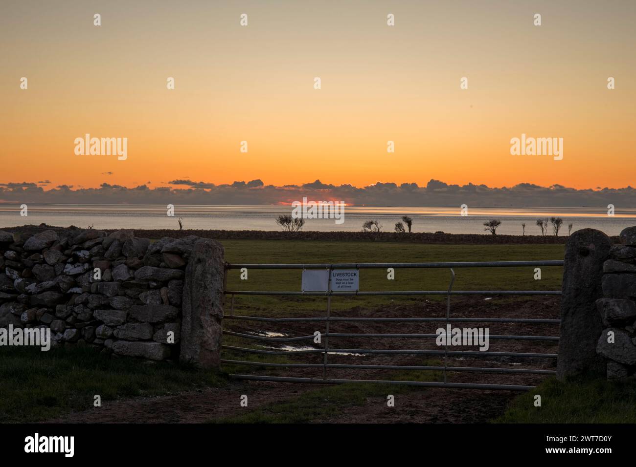 Sonnenuntergang über Morecambe Bay aus der Nähe von Silverdale, Lancashire, England. November. Stockfoto