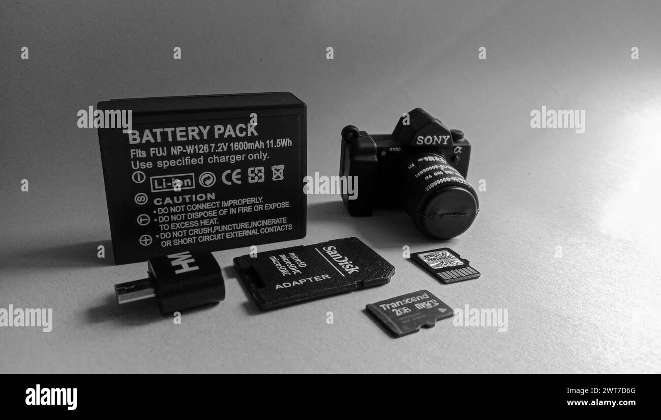 Wadaslintang, 24. Februar 2021, Fotospeicherkarte, Maus, Flash-Disk, Kamera-Akku, SD-Karte in schwarzer Speicherkarte, Maus, Blitz, Kamera-Akku, SD c Stockfoto
