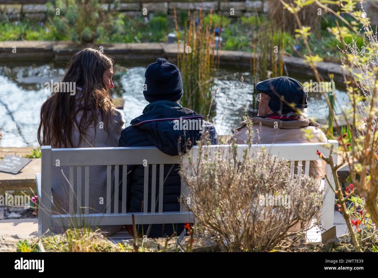 Ruhen Sie sich im versunkenen Garten im Karl-Foerster-Haus und -Garten aus. Am Raubfang, Potsdam, Brandenburg, Brandenburg, Deutschland Stockfoto