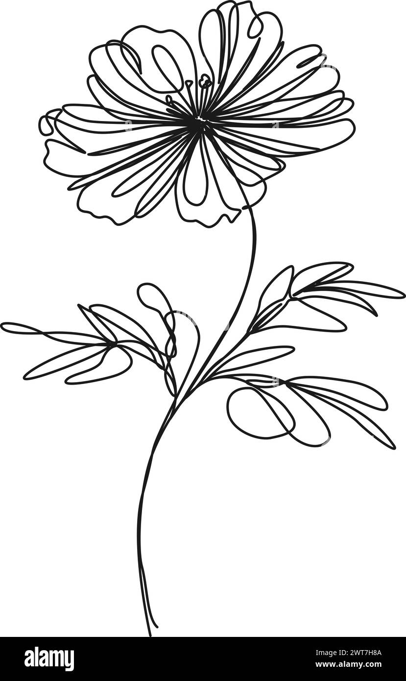 Kontinuierliche einzeilige Zeichnung der wilden Blume, Linie Art Vektor Illustration Stock Vektor