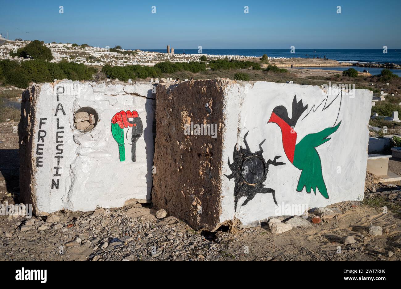 Die Worte "Freies Palästina", eine geballte Faust und eine Taube in palästinensischen Farben auf Felsen gemalt auf dem Mahdia Maritime Cemetery in Mahdia, Tunesien. Stockfoto