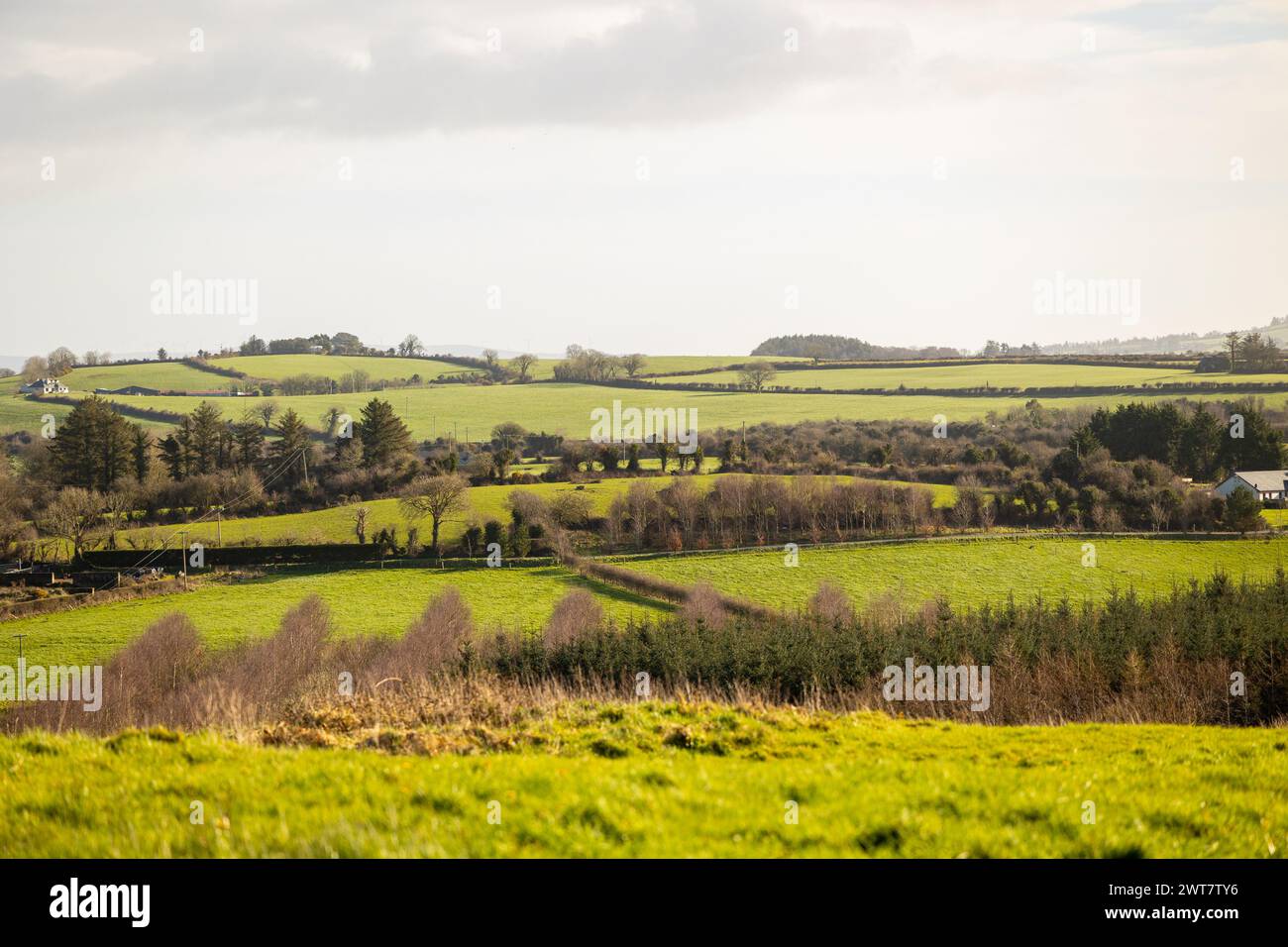 Slea Head Drive, Dingle Peninsula, Irland Stockfoto
