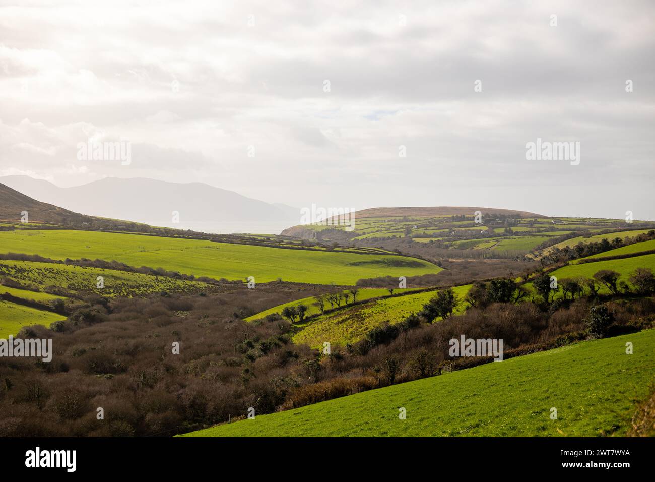 Slea Head Drive, Dingle Peninsula, Irland Stockfoto