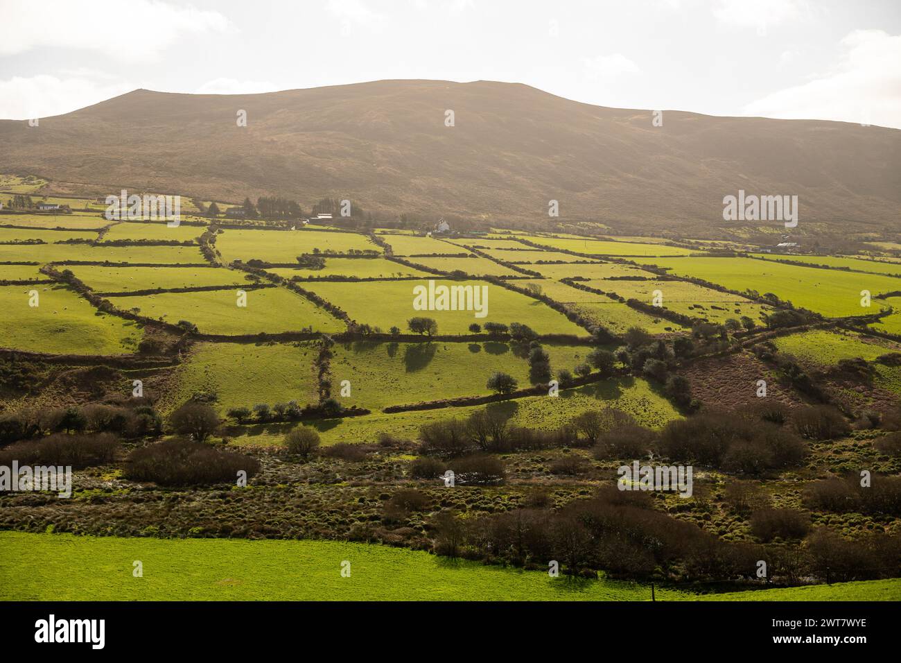 Slea Head Drive, Dingle Peninsula, Irland Stockfoto