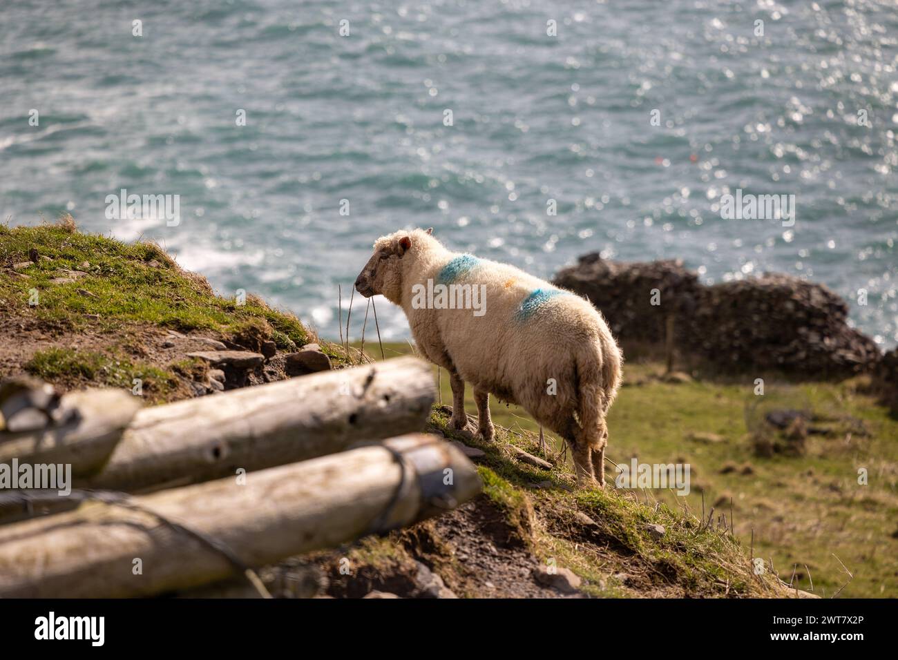 Slea Head Drive, Dingle Peninsula, Irland Stockfoto