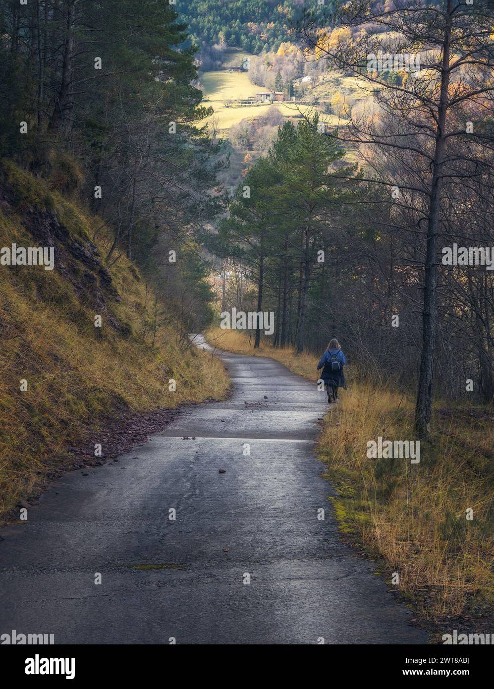 Frau, die auf einem Waldweg in Ogassa, El Ripolles, Katalonien läuft Stockfoto