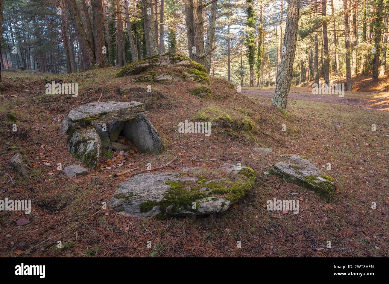 Prähistorischer Dolmne in Montgrony, Ripolles, Katalonien Stockfoto